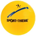 Sport-Thieme&#174; Volleyball