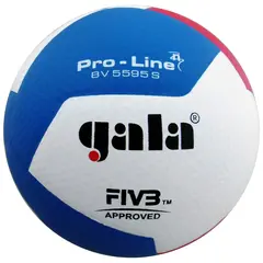 Volleyboll Gala Pro Line BV5595S Strl 5 | Matchboll FIVB